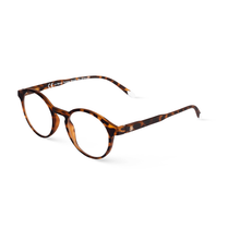 Load image into Gallery viewer, Le Marais Tortoise Man